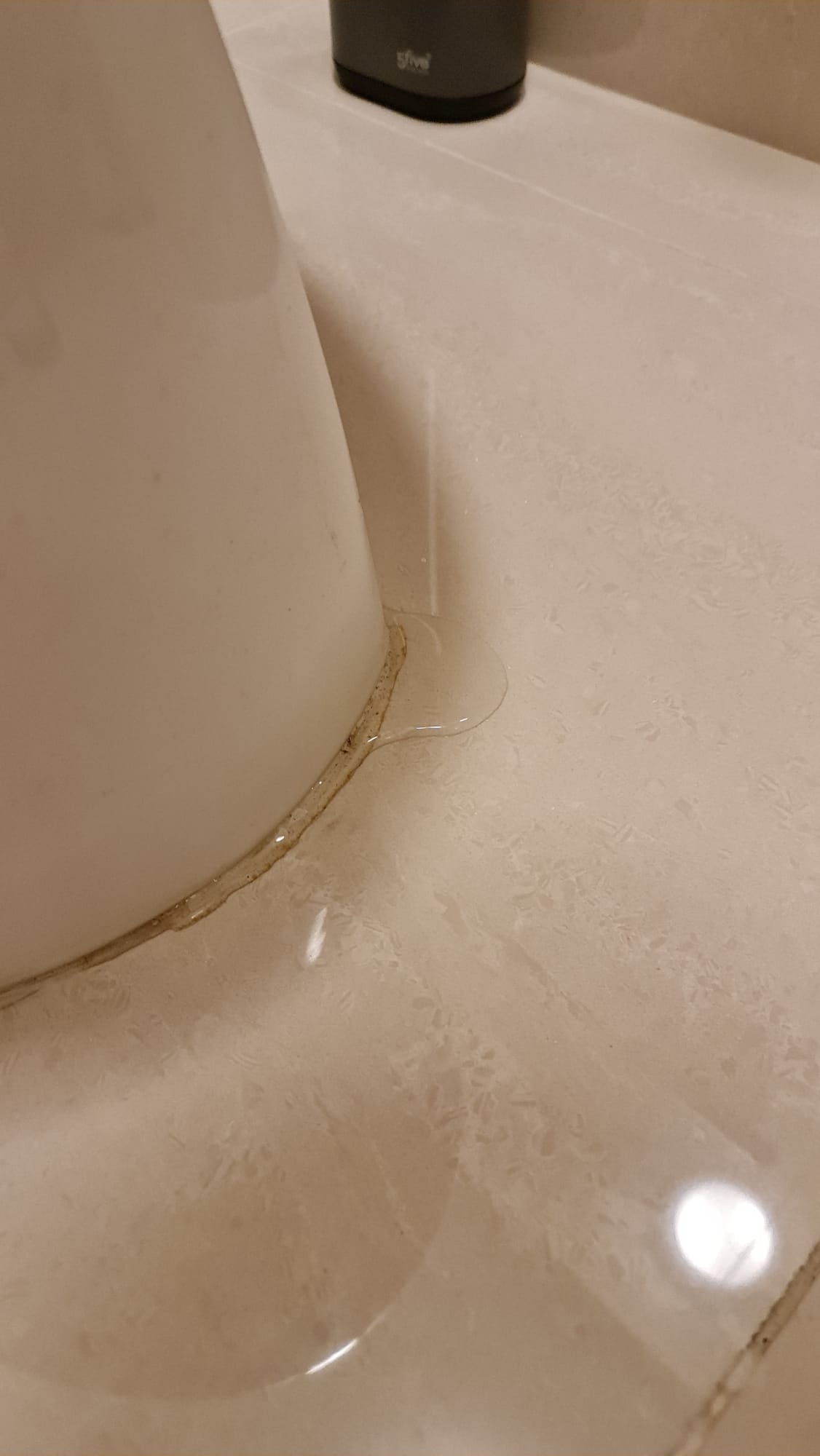 Leaking toilet