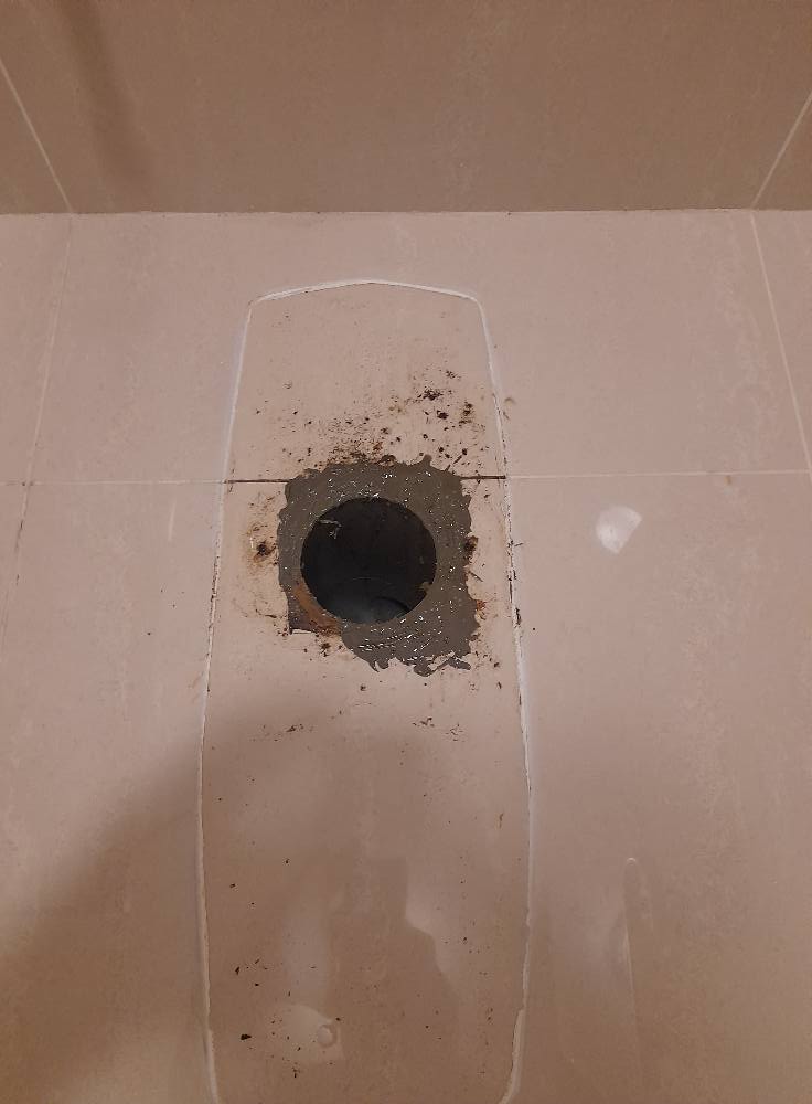 Leaking toilet