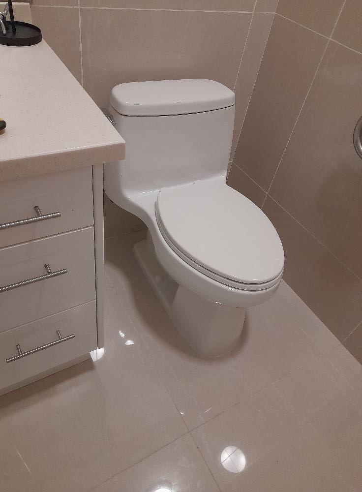 Leaking toilet