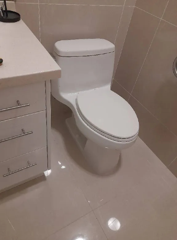 Leaking toilet