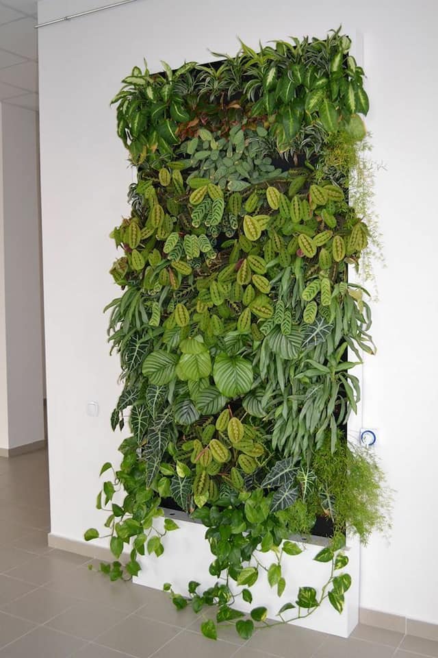 Vertical gardening